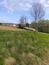 Vrana popolavá (25.4.2026)