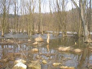 Močiar pod Oščadnicou
