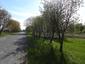 trasochvost biely (28.4.2026)