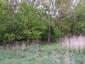 slávik tmavý (veľký) (28.4.2026)