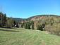 Ďateľ malý (3.5.2026)