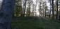 Hrdlička poľná (25.4.2026)