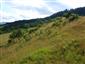 Suchomilné travinnobylinné a krovinové porasty na vápnitom podloží (*dôležité stanovištia Orchideaceae) (13.6.2015)