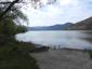 lyska čierna (17.4.2026)