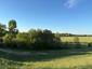 Vrana popolavá (5.5.2026)