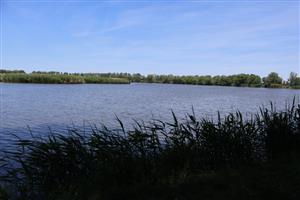 Pohľad na južnú časť TML Veľkobhlahovské rybníky, foto: 29.5.2026, J.Lengyel.