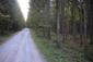 Mlynárka dlhochvostá (6.5.2026)