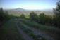 dážďovník tmavý( obyčajný) (4.5.2026)