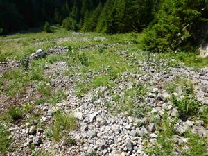 Pohľad na časť mapovacej lokality