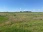 Žltochvost lesný ( hôrny) (18.5.2026)