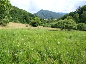 pohľad na lokalitu zhora 3