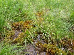 detail v hornej slatinnej časti 1