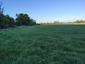 slávik krovinový (obyčajný) (2.5.2026)