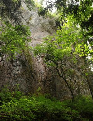 pohľad na severnú stenu Mindálovej skaly