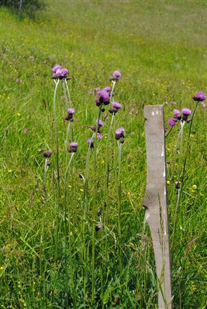 podmáčaná časť TML