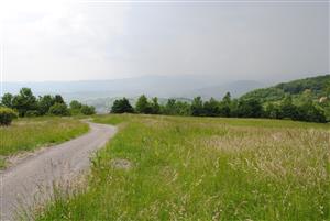 stredom TML vedie poľná cesta