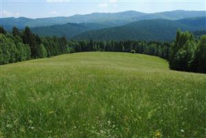 pohľad na TML zo severnej časti