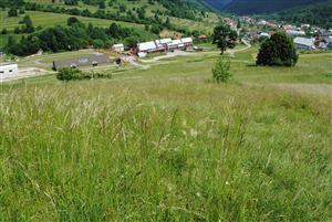 pohľad na TML zo severnej čati 