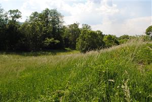 pohľad na monitorovanú TML