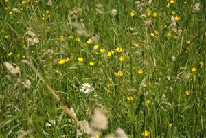 pohľad do biotopu 1.