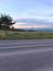 Pinka lesná (1.5.2026)
