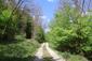 trasochvost biely (25.4.2026)
