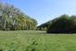 trasochvost biely (25.4.2026)