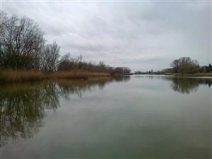 Pohľad na časť TML - južná časť Virtského jazera. Foto: 2.4.2015. J.Lengyel.