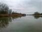 Bobor vodný (2.4.2015)