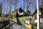 Orešnica perlavá (29.4.2026)