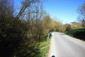 Vlha hájová (obyčajná) (29.4.2026)