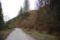 Hýľ lesný (obyčajný) (28.4.2026)