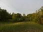 trasochvost biely (15.5.2026)