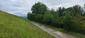 trasochvost biely (18.5.2026)