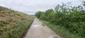 Žltochvost lesný ( hôrny) (18.5.2026)