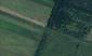 trasochvost biely (20.5.2026)