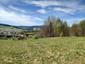 trasochvost biely (5.5.2026)