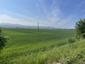 Vrana popolavá (25.4.2026)