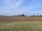 trasochvost biely (25.4.2026)
