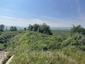 bažant poľovný (9.5.2026)