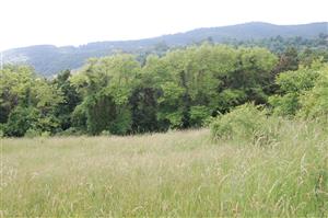 Pohľad na juhozápadnú časť TML