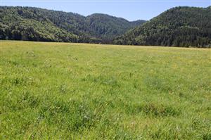 Pohľad na severovýchodnú pasenú časť TML 