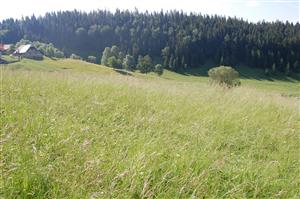 Pohľad na západnú časť lokality