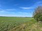 Pŕhľaviar čiernohlavý (29.4.2026)