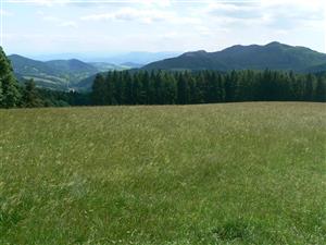 Pohled na cílový biotop a okolní krajinu ve směru VJV od zadaných souřadnic