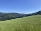 Včelár lesný (včelár obyčajný) (15.5.2026)