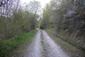 Škovránik stromový (23.5.2026)
