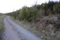 slávik krovinový (obyčajný) (23.5.2026)