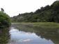 Prirodzené eutrofné a mezotrofné stojaté vody s vegetáciou plávajúcich a/alebo ponorených cievnatých rastlín typu Magnopotamion alebo Hydrocharition (30.6.2015)