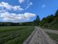 trasochvost biely (26.4.2026)